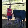 luis fortes - @luisforte4 - TikTok
