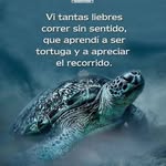luis - @luisf.ranchini - Instagram