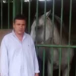 Luis Frank Saborio - @luisfranksaborio - Instagram