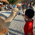 Luis Frank Saldaña Araúz - @luisfranksa - Instagram