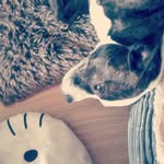 Luis Fuller - @luisfuller2726 - Instagram