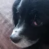 Luis fuller - @luis.ldrf - TikTok
