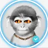 luisfurioso098123456 - @luisfurioso098123 - TikTok