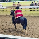 luis_galaz - @luis_galaz8 - Instagram