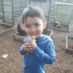 Luis Gameros - @whiskey18 - Instagram