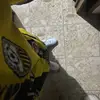 Luis - @luis_gans_v - TikTok