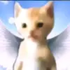 Tik Toker - @luisgansozy - TikTok