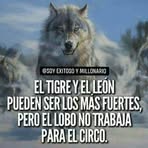 Luis Dario Gastaldi - Facebook