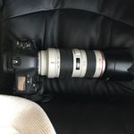 Luis Gauthier Photography - @luisgauthier_photography - Instagram