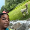 Luis - @luis_jose_genao - TikTok
