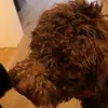 Luise Gerber - @luisegerber - TikTok