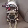luisgerman - @luisger.47 - TikTok