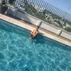 Luis Gomar - @luisgomar3 - TikTok