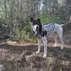 luis gomar - @luis.gomar8 - TikTok