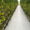 Luis Gomar - @luis.gomar3 - TikTok