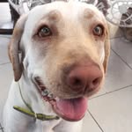 Luis granillo - @granillo_priv - Instagram