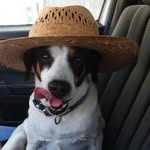 Luis Daniel Benitez Hierro - @luispatoso1357 - Instagram