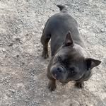 Luis interiano - @interiano994 - Instagram