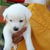 Luis Interiano - Facebook