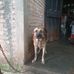Luis Irias - Facebook