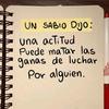 Luis Jacinto - @luisjacinto49 - TikTok
