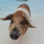 Luis Jansen - @xx_luis015 - Instagram