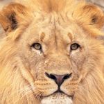 luis.jansen - @luis_jansen__ - Instagram