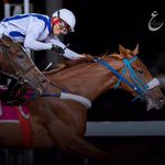 Luis 🏇🏼🇵🇦 - @luis___jurado - Instagram