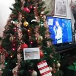 Luis Jurado - @luis.jurado.71404 - Instagram