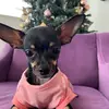 LuisKim72 - @chispa.2021 - TikTok