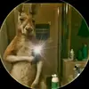 easy e - @luislamar - TikTok