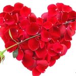 Luis Lawson - @luislawson49365 - Instagram
