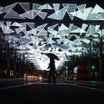 Luis Rodriguez Granado - @luisleonrodriguez - Instagram