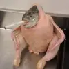 Luis.Leon - @luis.leon29 - TikTok