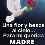 Luis Lorduy - @luis.lorduy.507 - Instagram