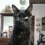 Luis Lupercio - @luis.lupercio.94 - Instagram