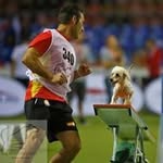 Luis Luque Rodriguez - @luisluque74 - Instagram