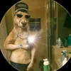 luis macario - @luis.macario10 - TikTok
