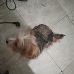 Luis Maceda - Facebook