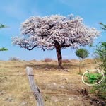 Luis Marban - @siul.pons - Instagram