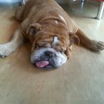 Luis Marsh - @marshluis - Instagram