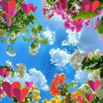 Luis May - Facebook