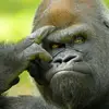Luis Melchor - @luis.melchor7 - TikTok