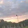 Luis Milian - @luis.milian65 - TikTok