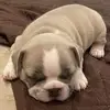 Luis Mitchell - @luis.mitchell2 - TikTok