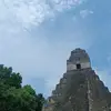 luismoguel5571 - @luismoguel5571 - TikTok