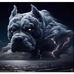 Luis Moncayo - Facebook