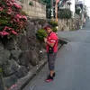Pedro luis Monegro - @pedro.luis.monegr - TikTok