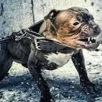 Luis Montezuma - @luis.montezuma.7798 - Instagram