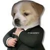 Luis Moreta - @luis.moreta832 - TikTok